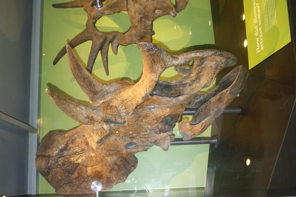 2106E13C54B35B8111B59D