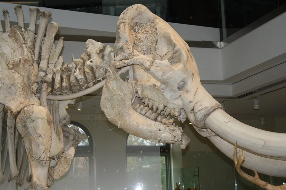 2773C53C54B35B7D32C4D8