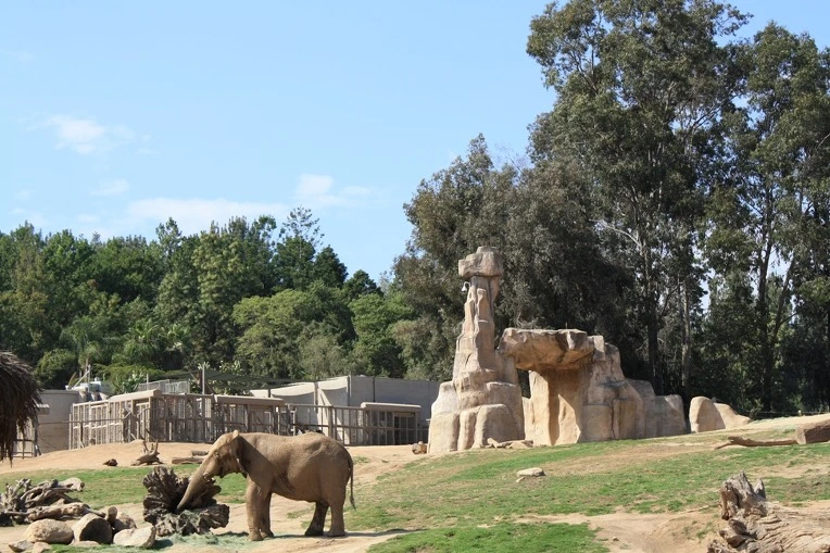 163553404E12AF171E0CEA