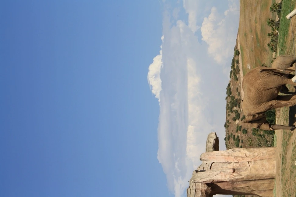 163687404E12AF121BEAD5