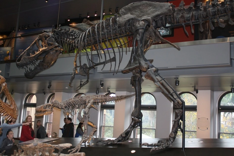 2174733C54B35B7F3086DB