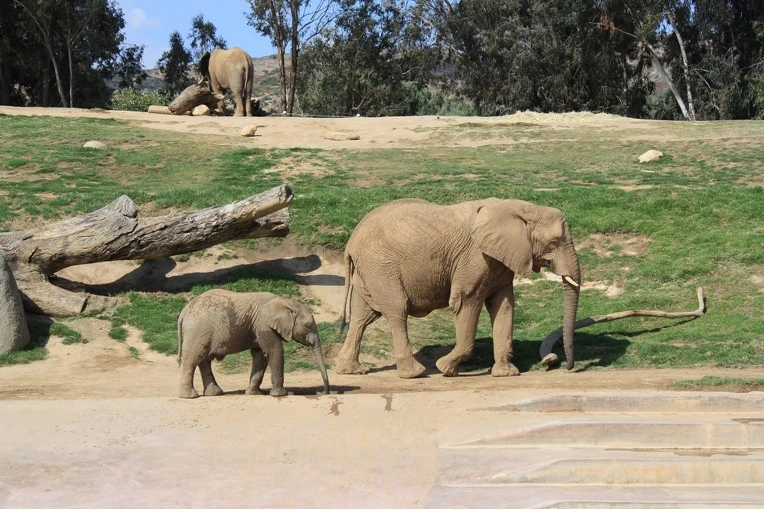 1407A43F4E12AF0A1A05CE