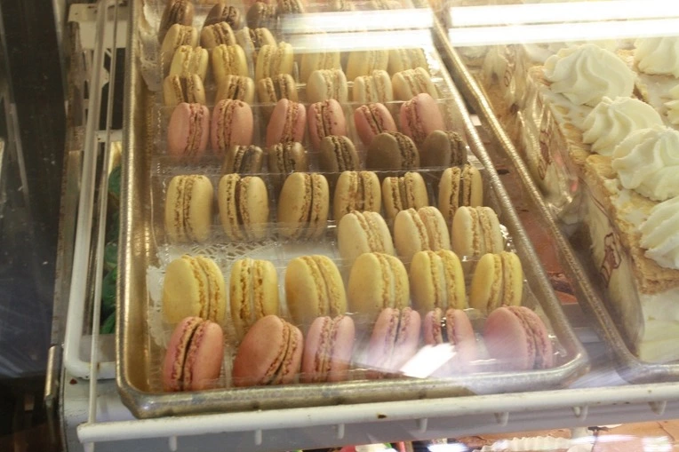 204796554E38E5C031CB7D