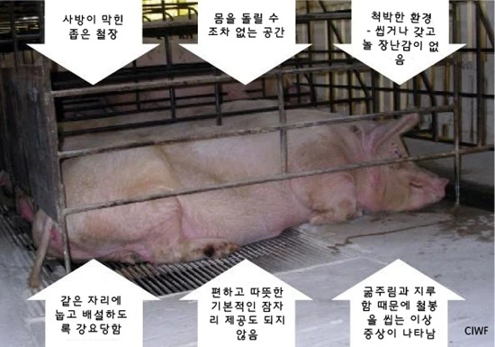 241EB03D5615A69230D85A