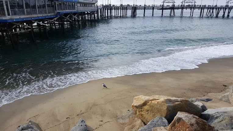 2166CE4E569D40A821C914