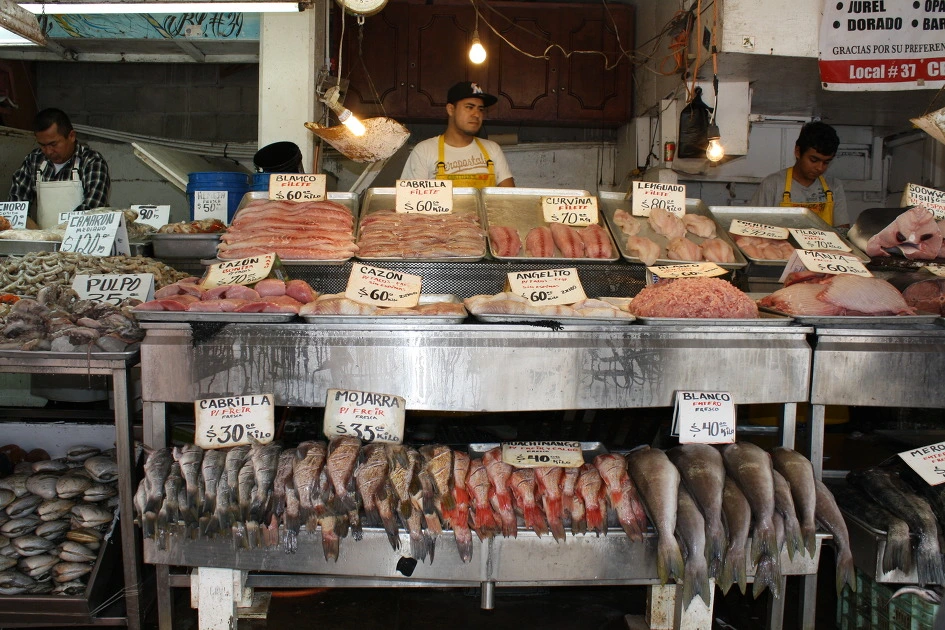 116A3548504E024F01BEEA