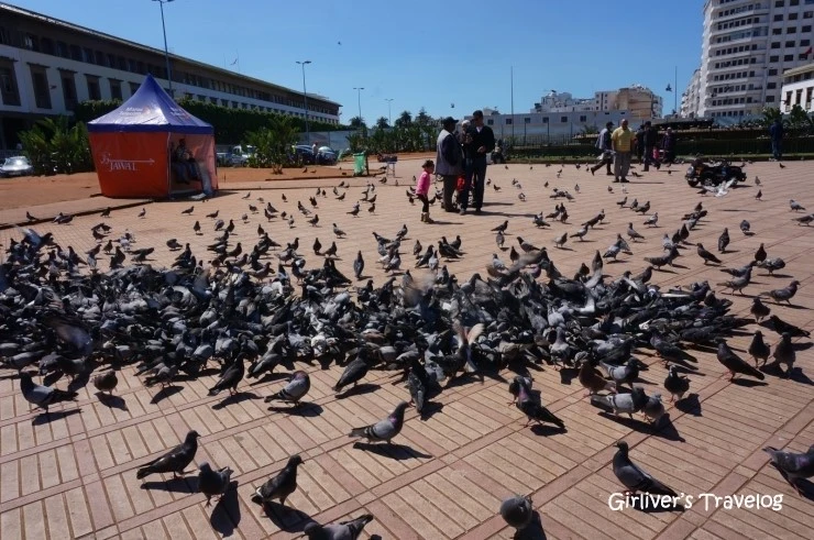 P20140422_182152000_20E1B5E9-917E-47AF-9722-D195BD396978.JPG?type=w2