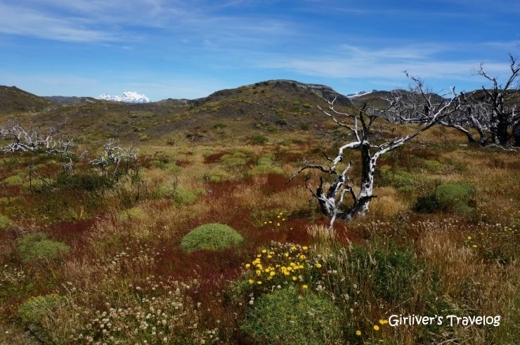 P20140213_165324000_ACD38176-515E-411B-8FB5-81F0B70B7FE2.JPG?type=w2