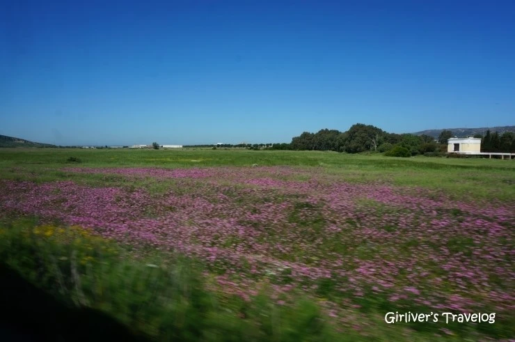 P20140429_200046000_1C122C0D-4785-4169-AA24-D644DA9D3B1C.JPG?type=w2