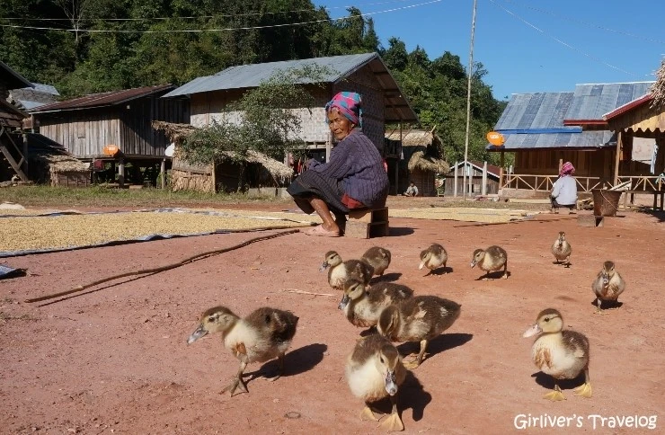 IMG_1534.JPG?type=w2