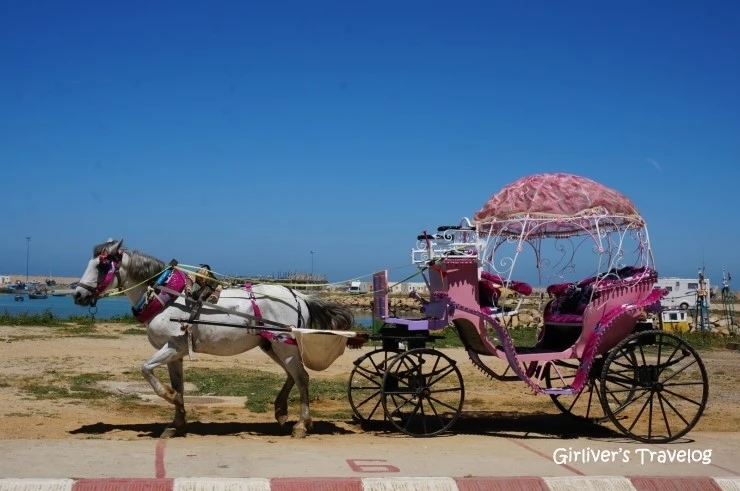 P20140429_203601000_DD4C1DB9-D092-4DDA-983E-7D23C2DA55C6.JPG?type=w2