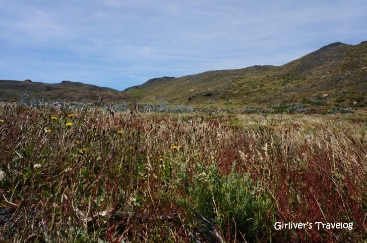 P20140213_170814000_A6570594-D3EF-4A8B-8C94-D1C780B67634.JPG?type=w2