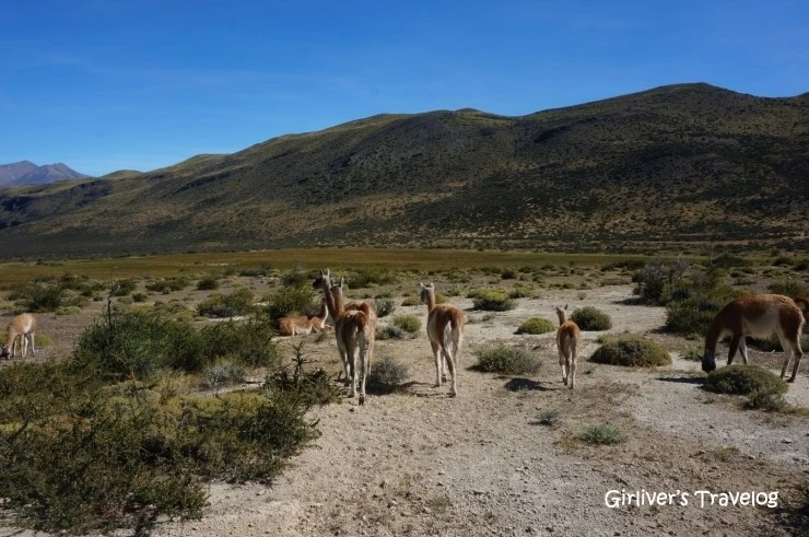 P20140213_145604000_0F4BBFBE-54D1-4381-887A-4ED9E94757FB.JPG?type=w2