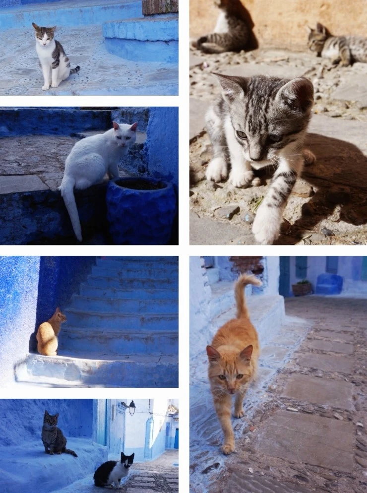 P20150327_211937000_10C150B3-C377-47E6-9E41-3D9F40C7CD31.JPG?type=w2