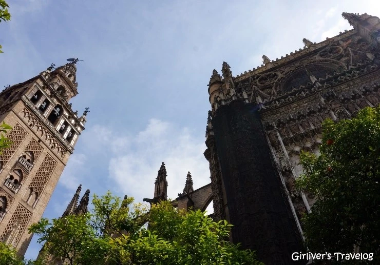 P20140416_162122000_92F22A12-5297-481F-920A-A861A32099A3.JPG?type=w2