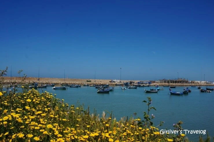 P20140429_204157000_8A89C223-7455-44BF-98FA-D7A789249A11.JPG?type=w2