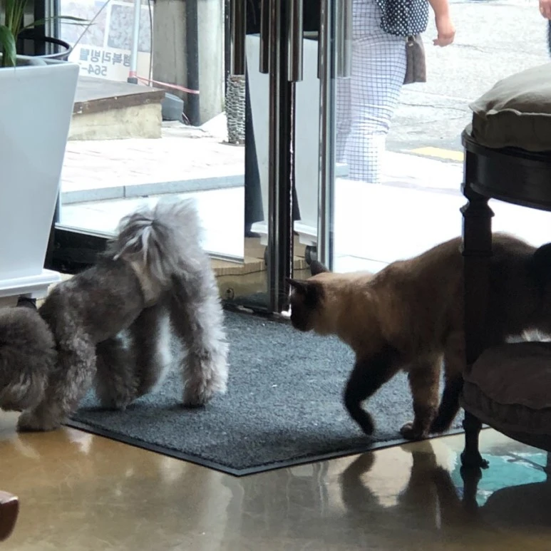 IMG_0196.jpg?type=w773