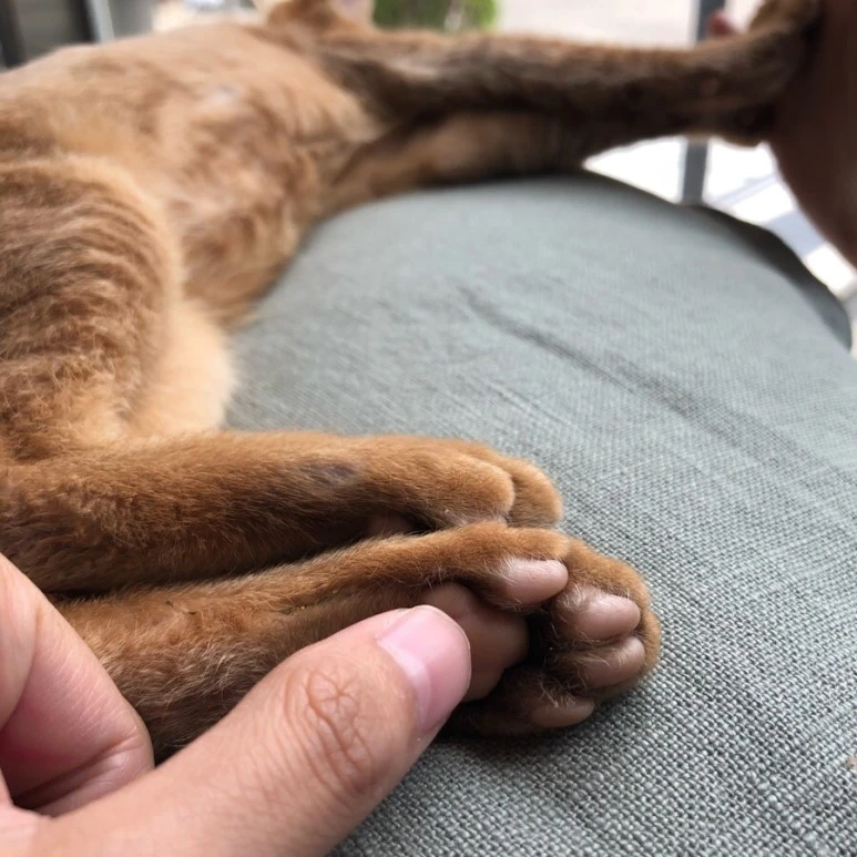 IMG_9075.jpg?type=w773