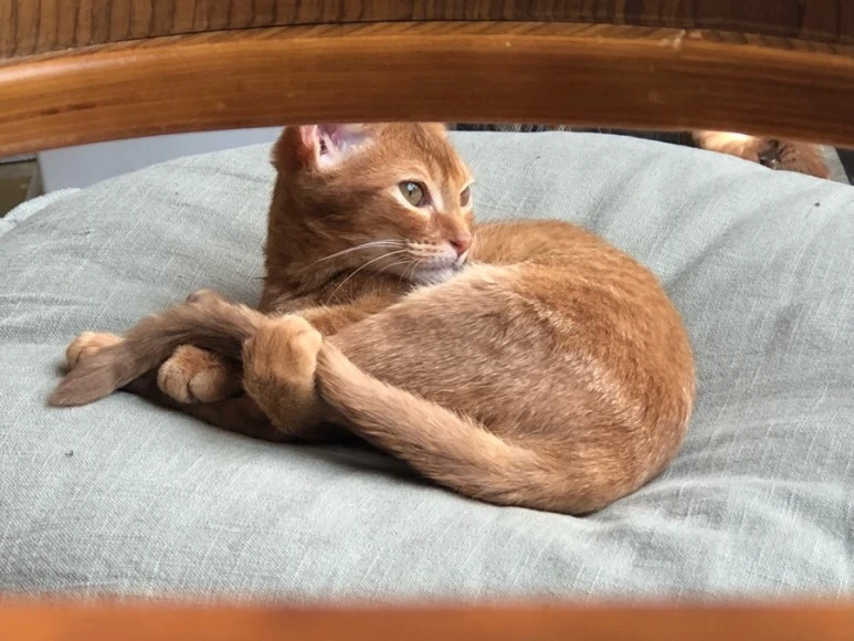 IMG_9080.jpg?type=w773