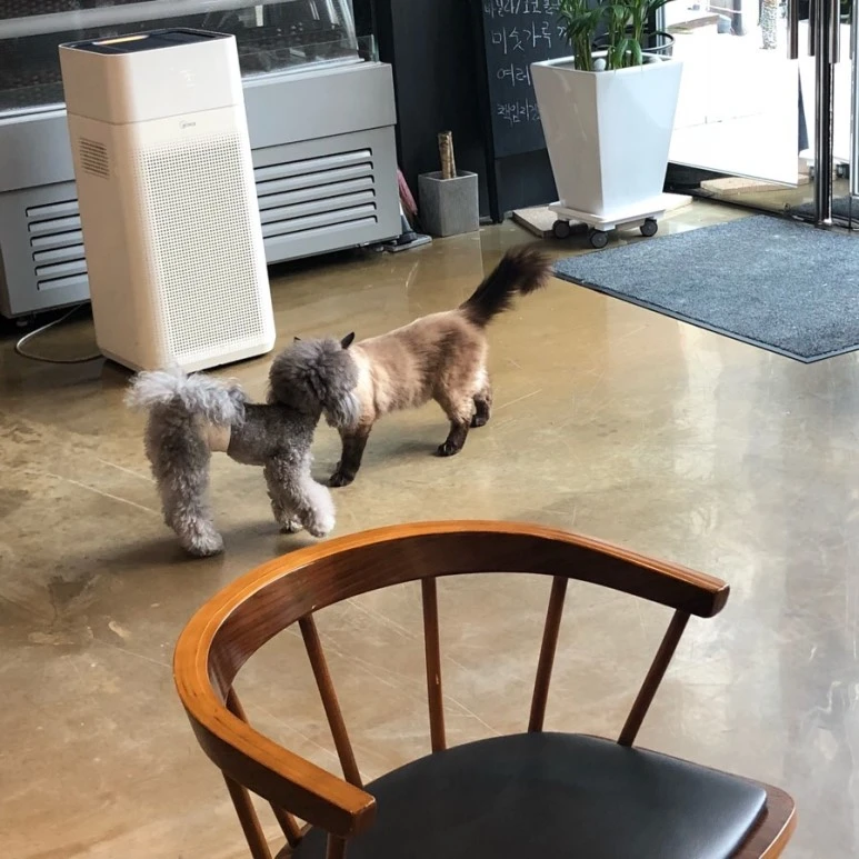 IMG_0198.jpg?type=w773