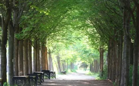 오산 수목원길.JPG