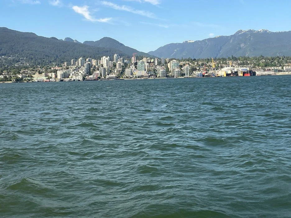 IMG_0136.jpeg?type=w1200