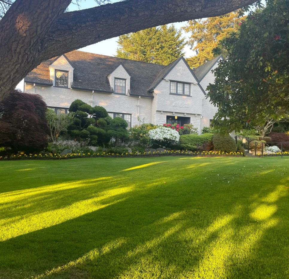 SE-2329f697-9185-4bcf-8505-876ec6f808c2.jpg?type=w966