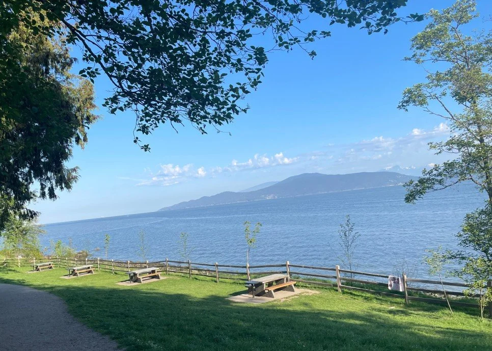 SE-8a63bbeb-e52d-4f94-a031-4cdc07e0a24c.jpg?type=w1200