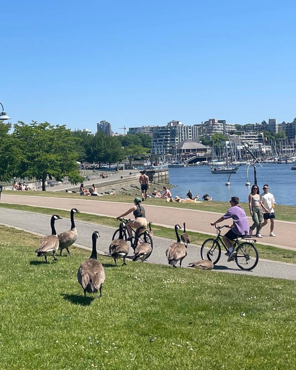 E1BC7858-6684-4498-B5C9-FEA604B2A3A6.JPG?type=w966