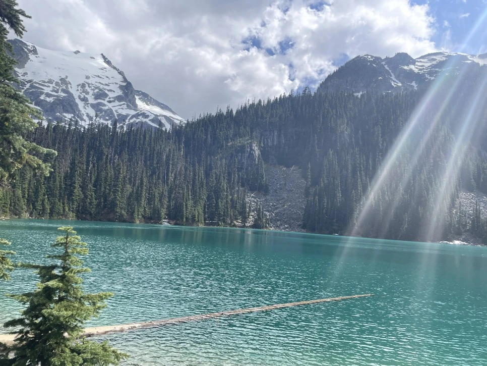 IMG_9618_2.JPG?type=w966