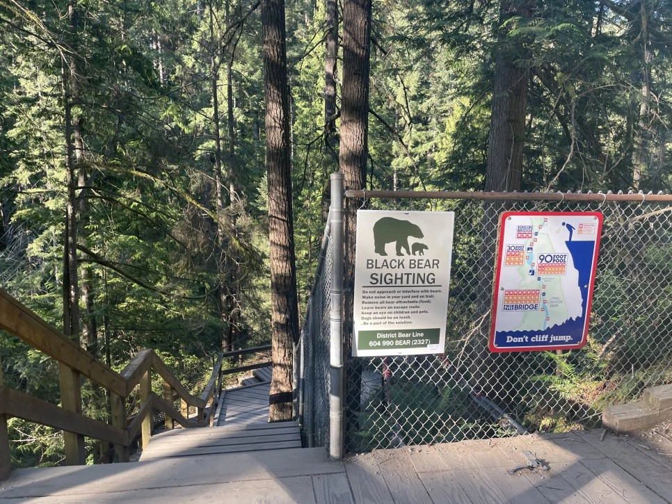 IMG_0161.JPG?type=w966