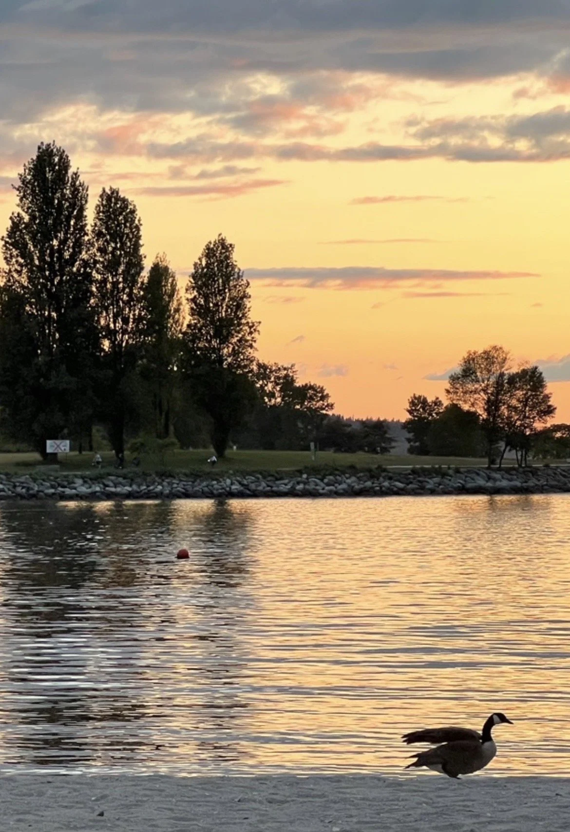 output_3002123327.jpg?type=w1200