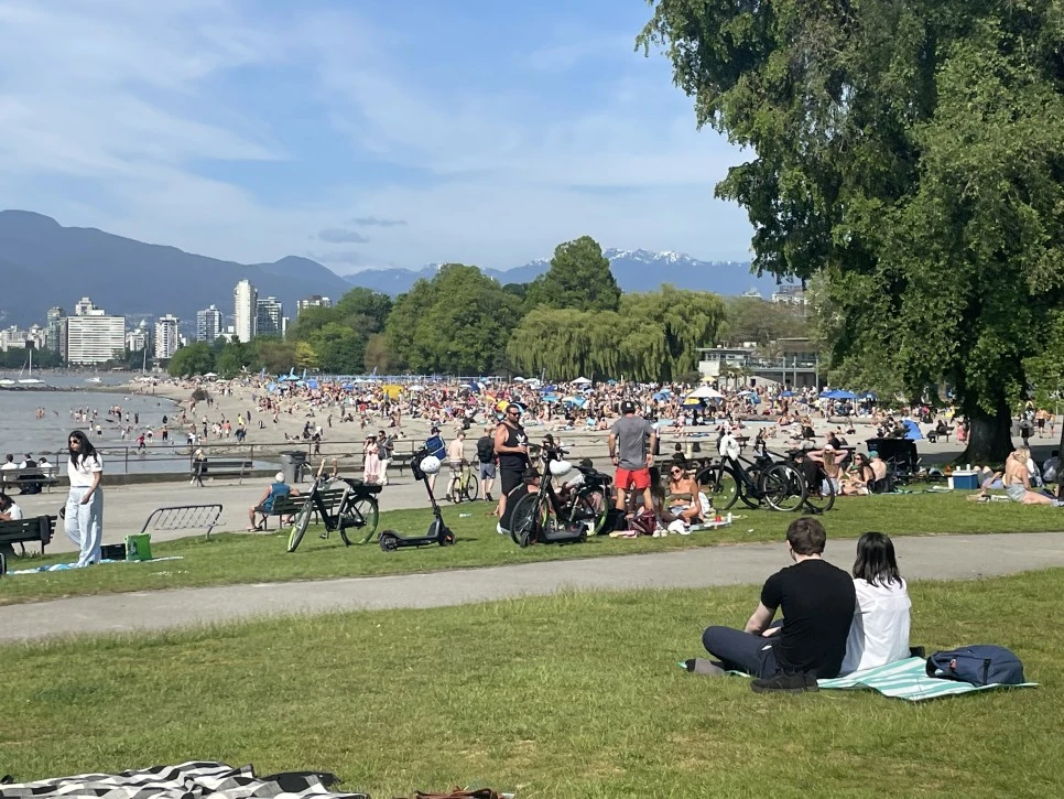 IMG_9307.JPG?type=w966