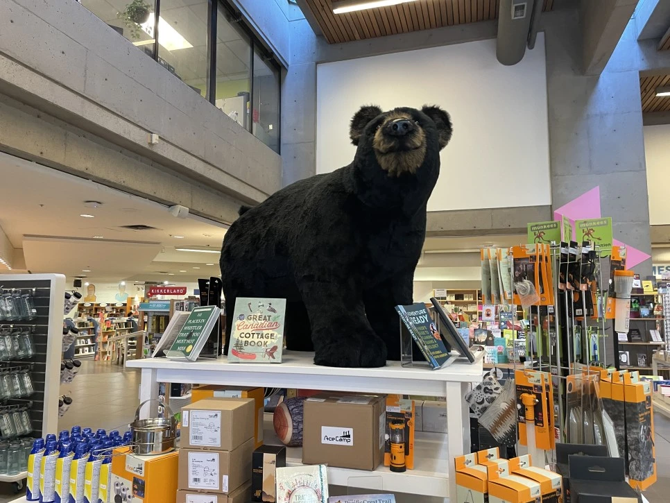 IMG_0118.JPG?type=w966