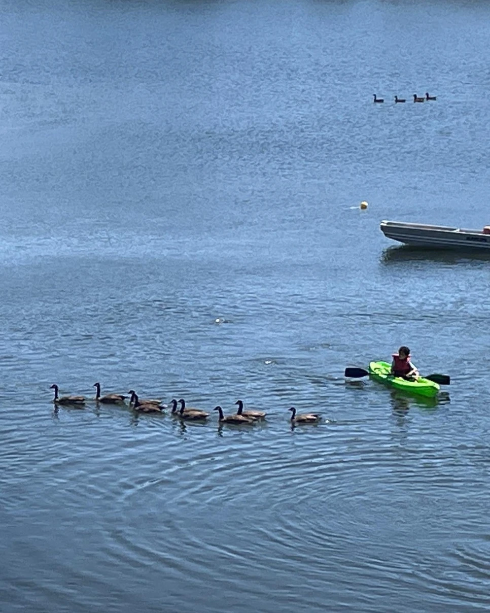 A7FB96D7-3E07-430D-98DF-2F856646D910_2.JPG?type=w966