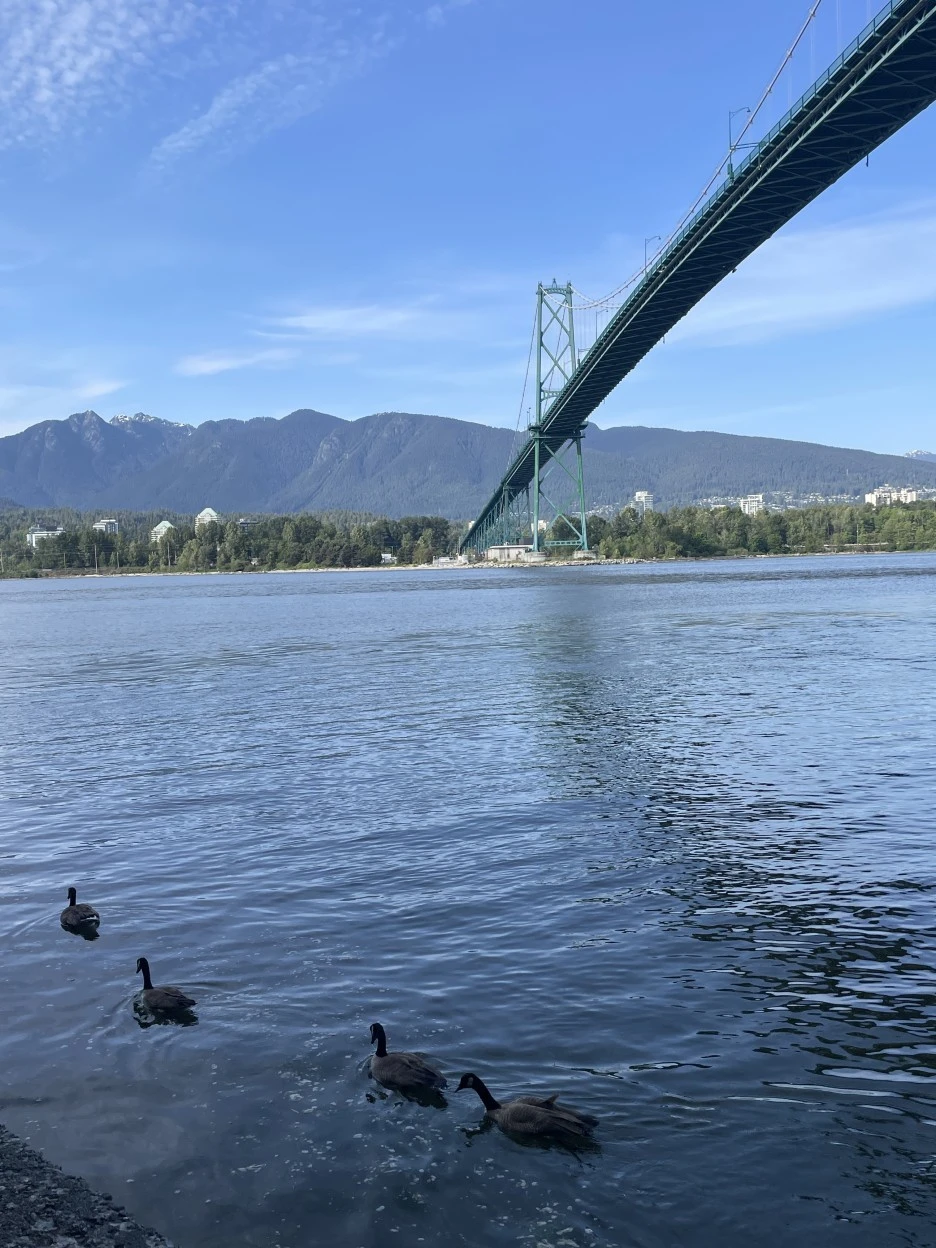 IMG_9827_2.JPG?type=w1