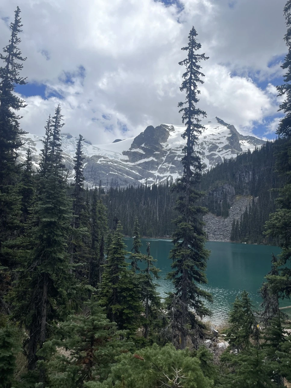 IMG_9584.JPG?type=w966