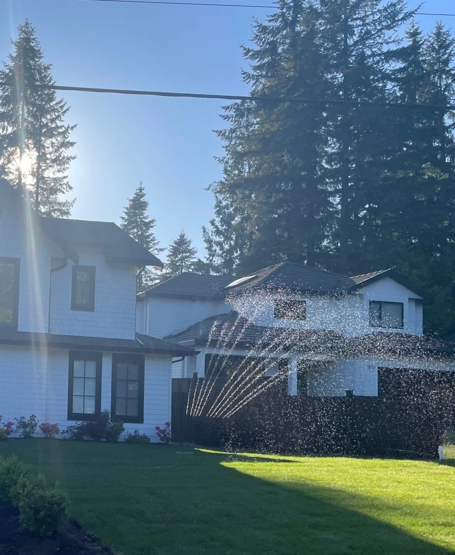 SE-1d2f29e9-413e-494d-9b6b-e03d5cf7ddf7.jpg?type=w1200