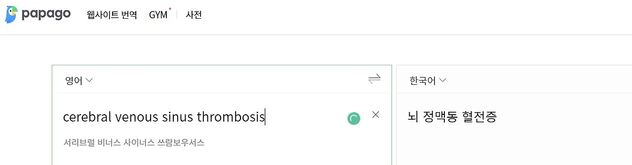 papago.JPG
