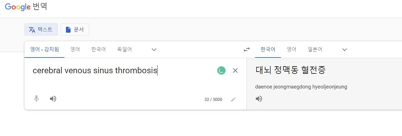 구글 번역.JPG