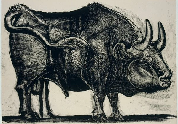 10university-bull1-custom1.jpg?type=w1200