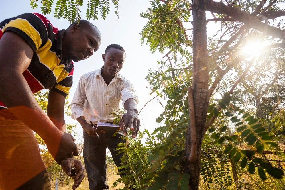 Apple_Earth_Day_Conservation_International_04192018.jpg?resize=1000%2C667