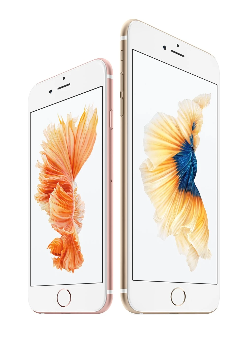 iPhone6s-2Up-HeroFish.jpg?type=w1200