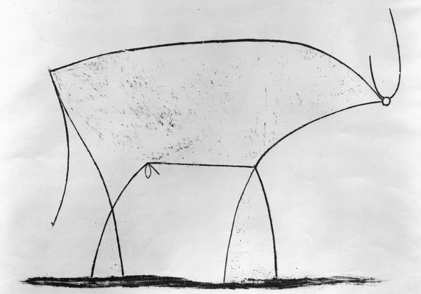 10university-bull4-custom1.jpg?type=w1200