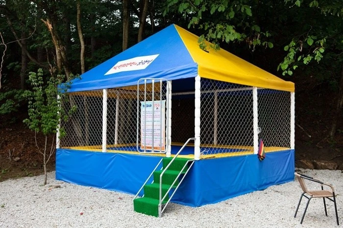 pine3.jpg?w=740&ssl=1