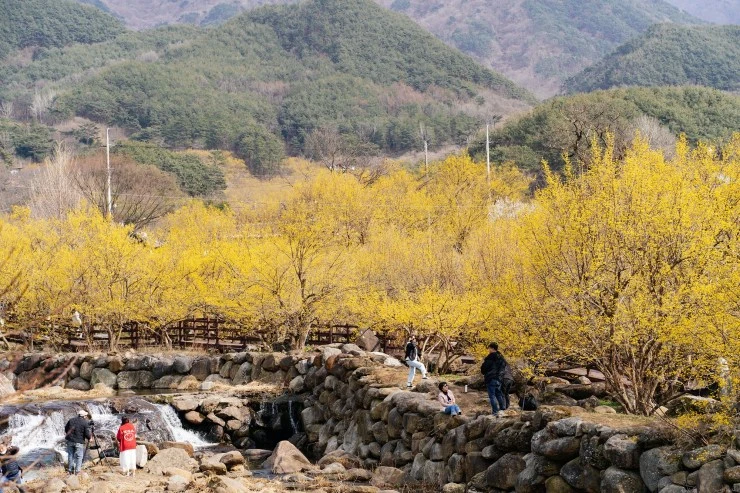 gu2.jpg?resize=740%2C493&ssl=1