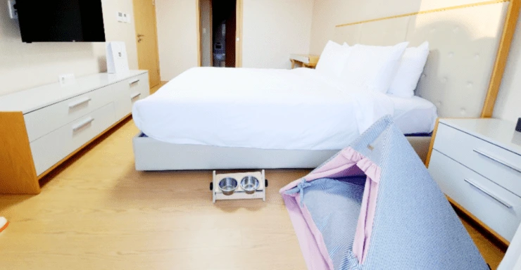 %E1%84%89%E1%85%B3%E1%84%8F%E1%85%B3%E1%84%85%E1%85%B5%E1%86%AB%E1%84%89%E1%85%A3%E1%86%BA-2022-05-26-%E1%84%8B%E1%85%A9%E1%84%92%E1%85%AE-9.55.17-1024x531.png?resize740%2C384amp;ssl1