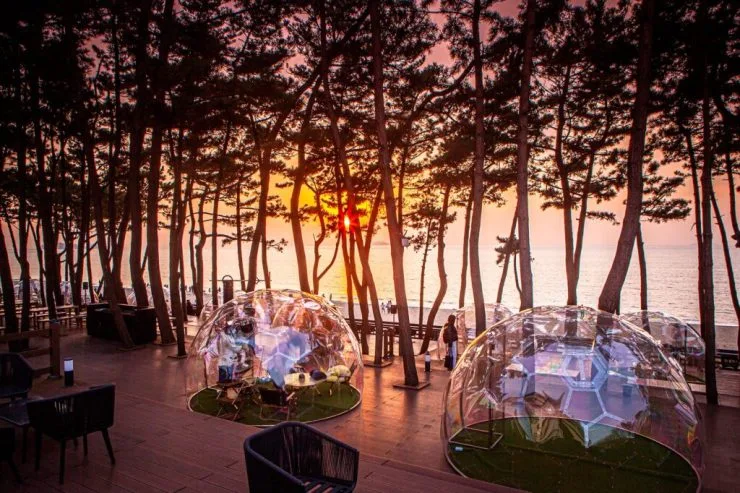 il-1024x682.jpg?resize740%2C493ssl1