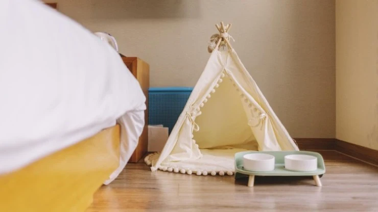 %E1%84%83%E1%85%A1%E1%84%8B%E1%85%AE%E1%86%AB%E1%84%85%E1%85%A9%E1%84%83%E1%85%B3-2022-05-26T220503.249-1.jpeg?resize=740%2C416&amp;ssl=1