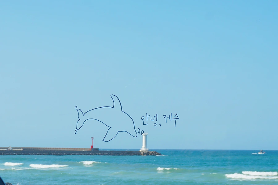 세화 카페공작소 (1).JPG